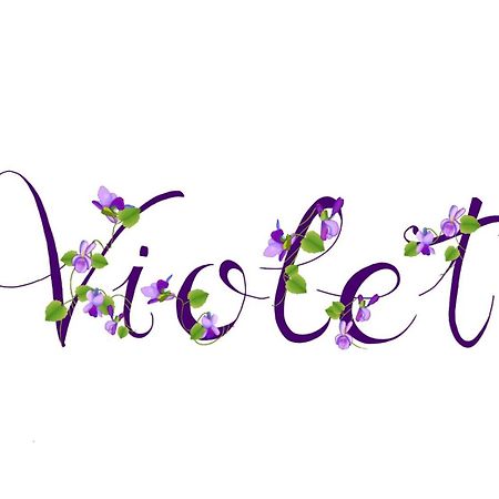 Appartamento Violet - 帕爾馬 外观 照片