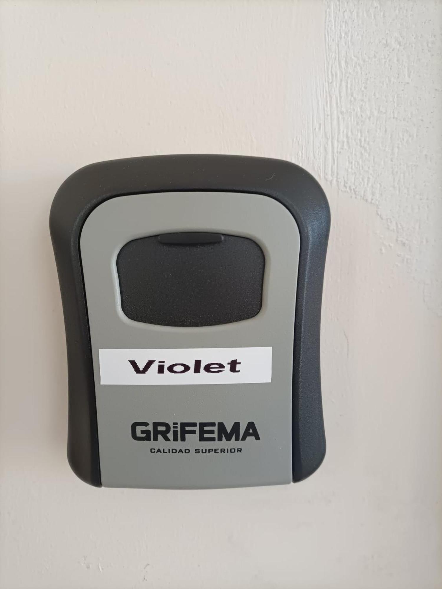 Appartamento Violet - 帕爾馬 外观 照片